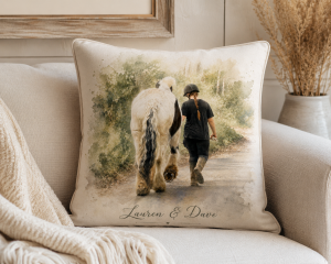 cushion